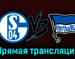 Шальке-04 — Герта 14 апреля 2023 года прямая трансляция