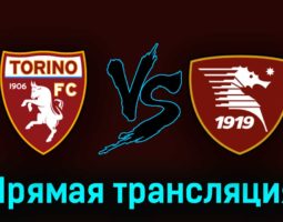 Торино — Салернитана 16 апреля 2023 года прямая трансляция