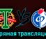 Торпедо — Факел 8 апреля 2023 года прямая трансляция