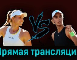 Елена Рыбакина — Ангелина Калинина 20 мая 2023 года прямая трансляция