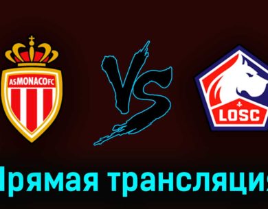 Монако — Лилль 14 мая 2023 года прямая трансляция