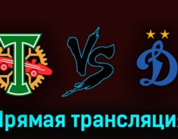 Торпедо — Динамо 20 мая 2023 года прямая трансляция