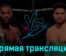 UFC 288 Алджамейн Стерлинг — Генри Сехудо 7 мая 2023 года прямая трансляция
