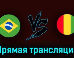 Бразилия — Гвинея 17 июня 2023 года прямая трансляция
