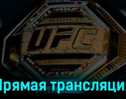 UFC Fight Night все бои 16 июля 2023 года прямая трансляция