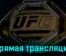 UFC Fight Night все бои 16 июля 2023 года прямая трансляция