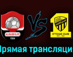 Аль-Раед — Аль-Иттихад 14 августа 2023 года прямая трансляция