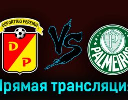 Депортиво Перейра — Палмейрас 24 августа 2023 года прямая трансляция