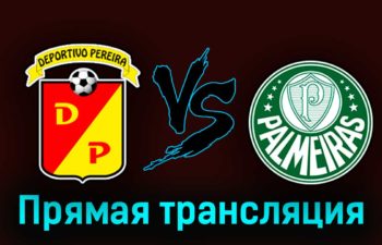 Депортиво Перейра — Палмейрас 24 августа 2023 года прямая трансляция