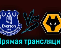 Эвертон — Вулверхэмптон 26 августа 2023 года прямая трансляция