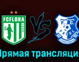 Флора — Фарул 16 августа 2023 года прямая трансляция