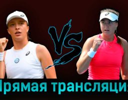 Ига Свёнтек — Ребекка Петерсон 28 августа 2023 года прямая трансляция
