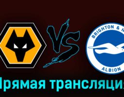 Вулверхэмптон — Брайтон энд Хоув Альбион 19 августа 2023 года прямая трансляция