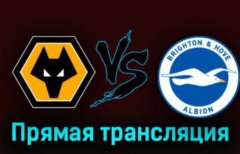 Вулверхэмптон — Брайтон энд Хоув Альбион 19 августа 2023 года прямая трансляция