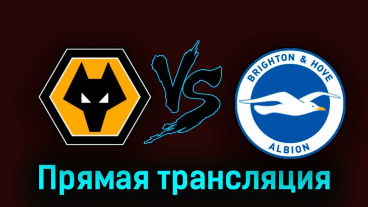 Вулверхэмптон — Брайтон энд Хоув Альбион 19 августа 2023 года прямая трансляция Вулверхэмптон — Брайтон энд Хоув Альбион 19 августа 2023 года прямая трансляция