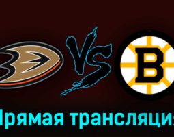 Анахайм Дакс — Бостон Брюинз 22 октября 2023 года прямая трансляция