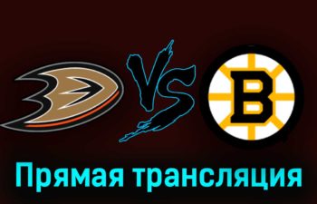 Анахайм Дакс — Бостон Брюинз 22 октября 2023 года прямая трансляция