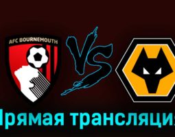 Борнмут — Вулверхэмптон 21 октября 2023 года прямая трансляция