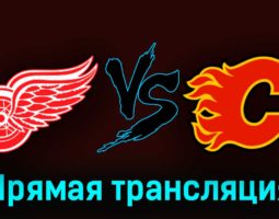 Детройт Ред Уингз — Калгари Флэймз 22 октября 2023 года прямая трансляция