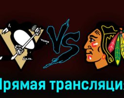 Питтсбург Пингвинз — Чикаго Блэкхоукс 11 октября 2023 года прямая трансляция