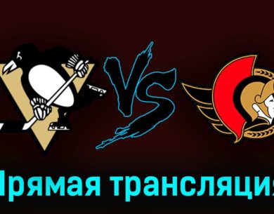 Питтсбург Пингвинз — Оттава Сенаторз 29 октября 2023 года прямая трансляция