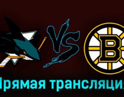Сан-Хосе Шаркс — Бостон Брюинз 20 октября 2023 года прямая трансляция