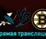Сан-Хосе Шаркс — Бостон Брюинз 20 октября 2023 года прямая трансляция