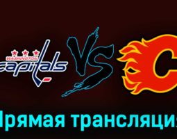 Вашингтон Кэпиталз — Калгари Флэймз 17 октября 2023 года прямая трансляция