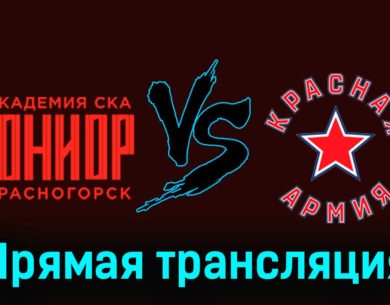 Академия СКА-Юниор — Красная Армия 20 ноября 2023 года прямая трансляция