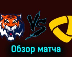 Амур — Северсталь 24 ноября 2023 года видеообзор матча