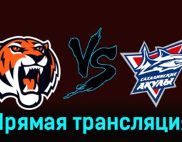 Амурские Тигры — Сахалинские Акулы 27 ноября 2023 года прямая трансляция