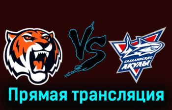 Амурские Тигры — Сахалинские Акулы 27 ноября 2023 года прямая трансляция