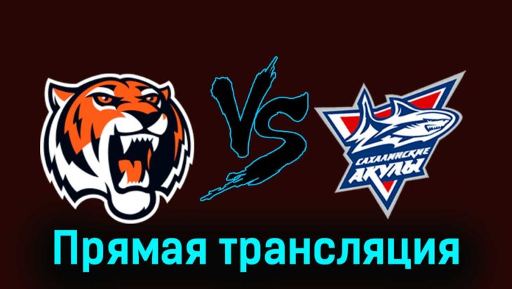 Амурские Тигры — Сахалинские Акулы 27 ноября 2023 года прямая трансляция Амурские Тигры — Сахалинские Акулы 27 ноября 2023 года прямая трансляция