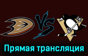 Анахайм Дакс — Питтсбург Пингвинз 8 ноября 2023 года прямая трансляция