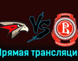 Авангард — Витязь 29 ноября 2023 года видеообзор матча