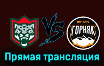 Барс — Горняк-УГМК 28 ноября 2023 года прямая трансляция