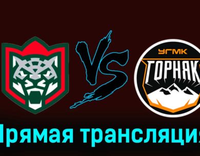 Барс — Горняк-УГМК 28 ноября 2023 года прямая трансляция