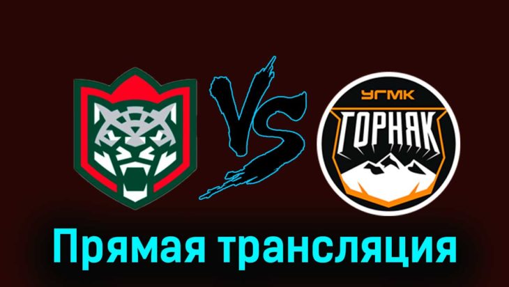 Барс — Горняк-УГМК 28 ноября 2023 года прямая трансляция Барс — Горняк-УГМК 28 ноября 2023 года прямая трансляция