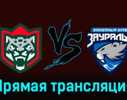 Барс — Зауралье 22 ноября 2023 года прямая трансляция