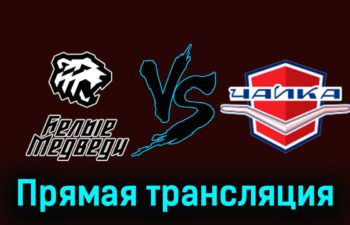 Белые Медведи — Чайка 28 ноября 2023 года прямая трансляция