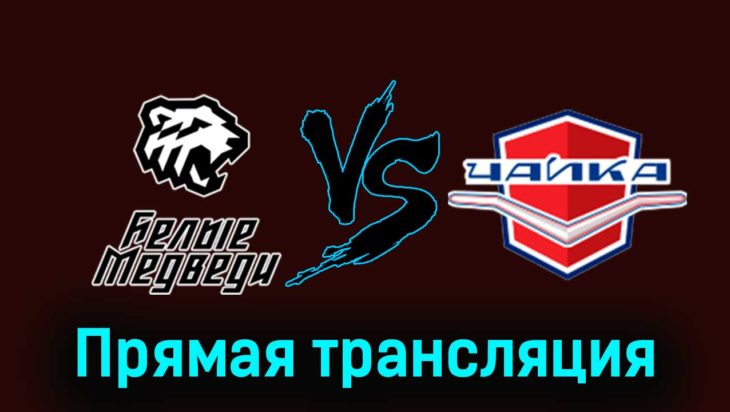 Белые Медведи — Чайка 28 ноября 2023 года прямая трансляция