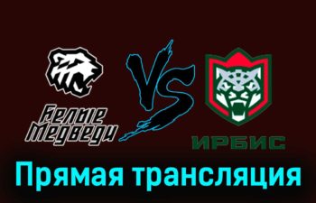 Белые Медведи — Ирбис 23 ноября 2023 года прямая трансляция