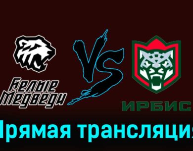 Белые Медведи — Ирбис 23 ноября 2023 года прямая трансляция