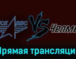 ЦСК ВВС — Челмет 28 ноября 2023 года прямая трансляция