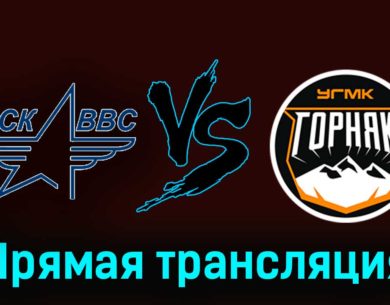 ЦСК ВВС — Горняк-УГМК 24 ноября 2023 года прямая трансляция