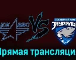 ЦСК ВВС — Зауралье 26 ноября 2023 года прямая трансляция