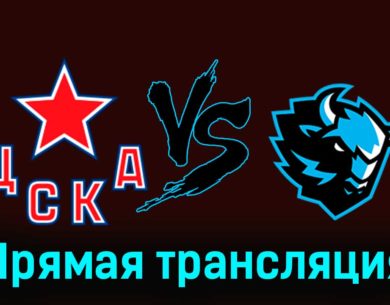 ЦСКА — Динамо Минск 29 ноября 2023 года видеообзор матча