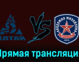 Динамо-Алтай — АКМ 17 ноября 2023 года прямая трансляция