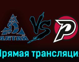 Динамо-Алтай — Рубин 15 ноября 2023 года прямая трансляция