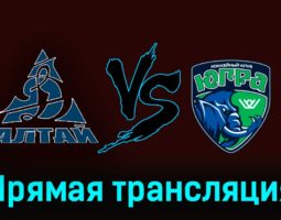 Динамо-Алтай — Югра 13 ноября 2023 года прямая трансляция